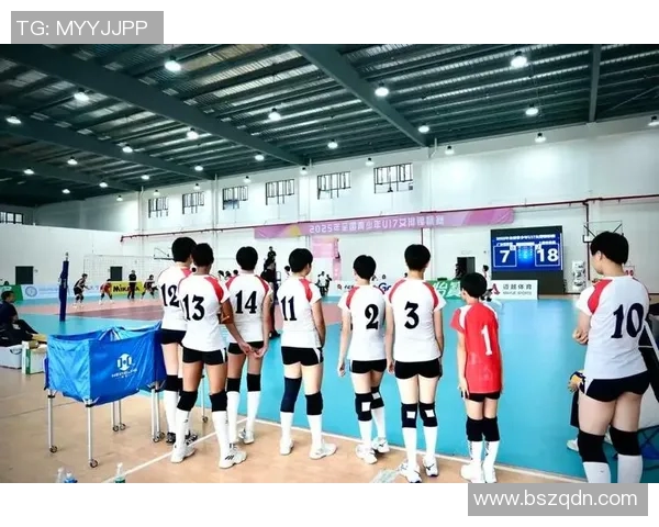 排球盛宴:深入解析上海排球队的默契配合与战术策略 排球盛宴:深入解析上海排球队的默契配合与战术策略