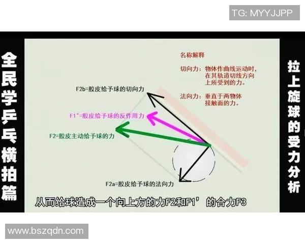 上海乒乓球队控制策略解析及其在全国赛事中的影响与启示