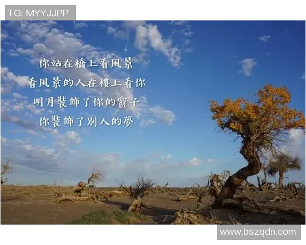 深度对话杨芳排球人生的追求与坚持探索 深度对话杨芳排球人生的追求与坚持探索